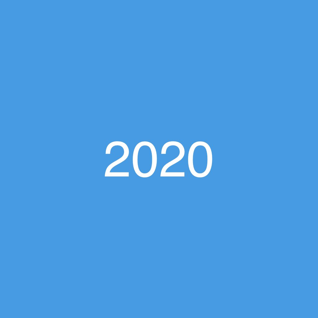 2020 Diary – Dannielle Blumenthal